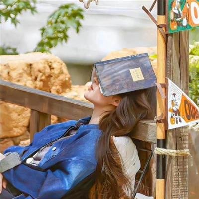 一只龟的进化史